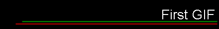 First GIF