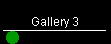 Gallery 3